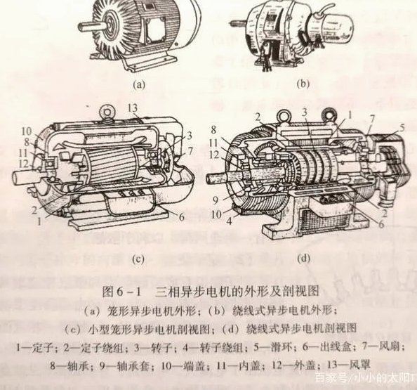 5战不胜 广州蒲公英输掉的不仅是比赛更是那口气