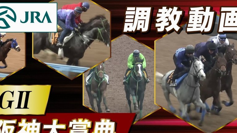 董路宣布：明天的比赛取消！