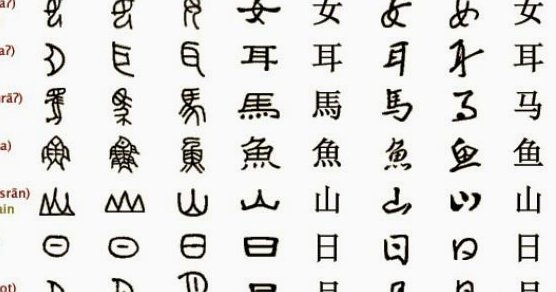 董的低调困境：成功背后的资源分配