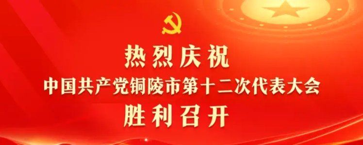 前主席入检方，洪明甫幸免指控